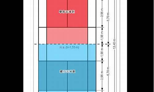 羽毛球单打界限图解_羽毛球单打界限图解视频